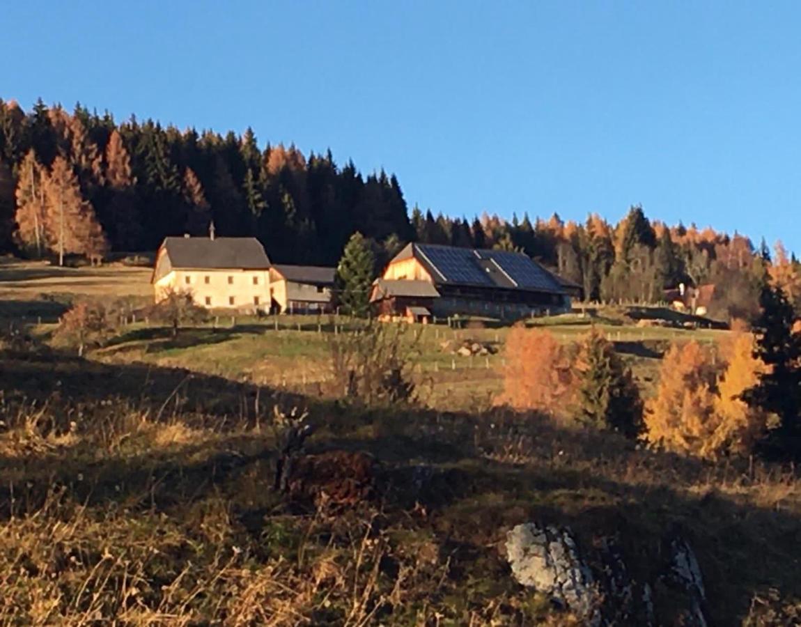 Zum Wohle Aparthotel Oberwoelz Stadt Exteriör bild